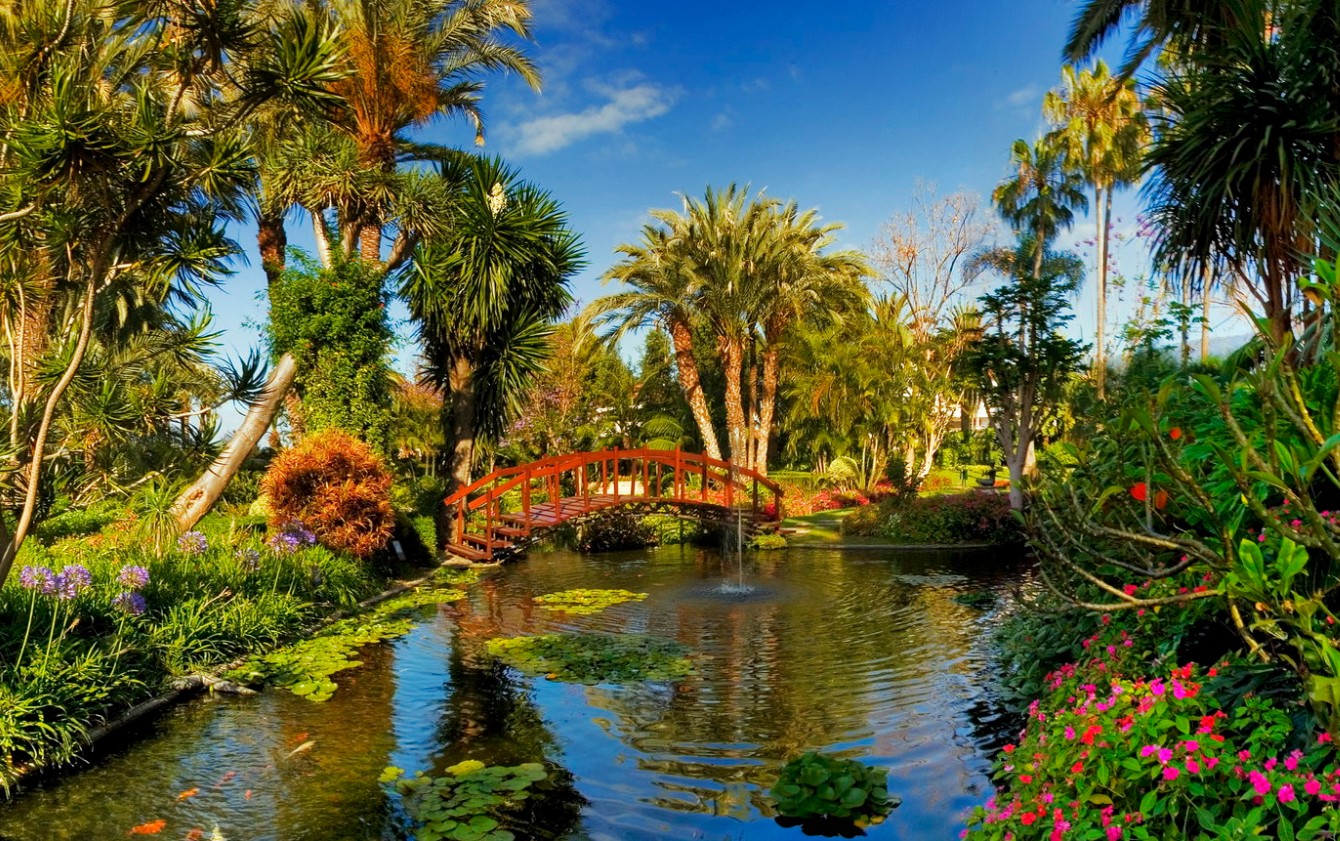 Jardin Botanique Puerto De La Cruz