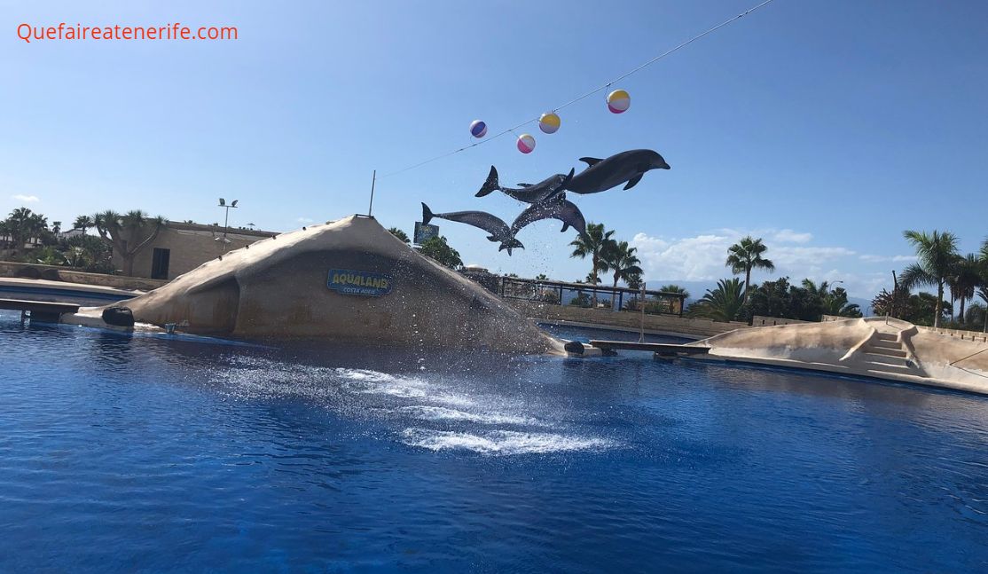 Les Parcs aquatiques et parcs d'attractions à Ténérife Que faire à