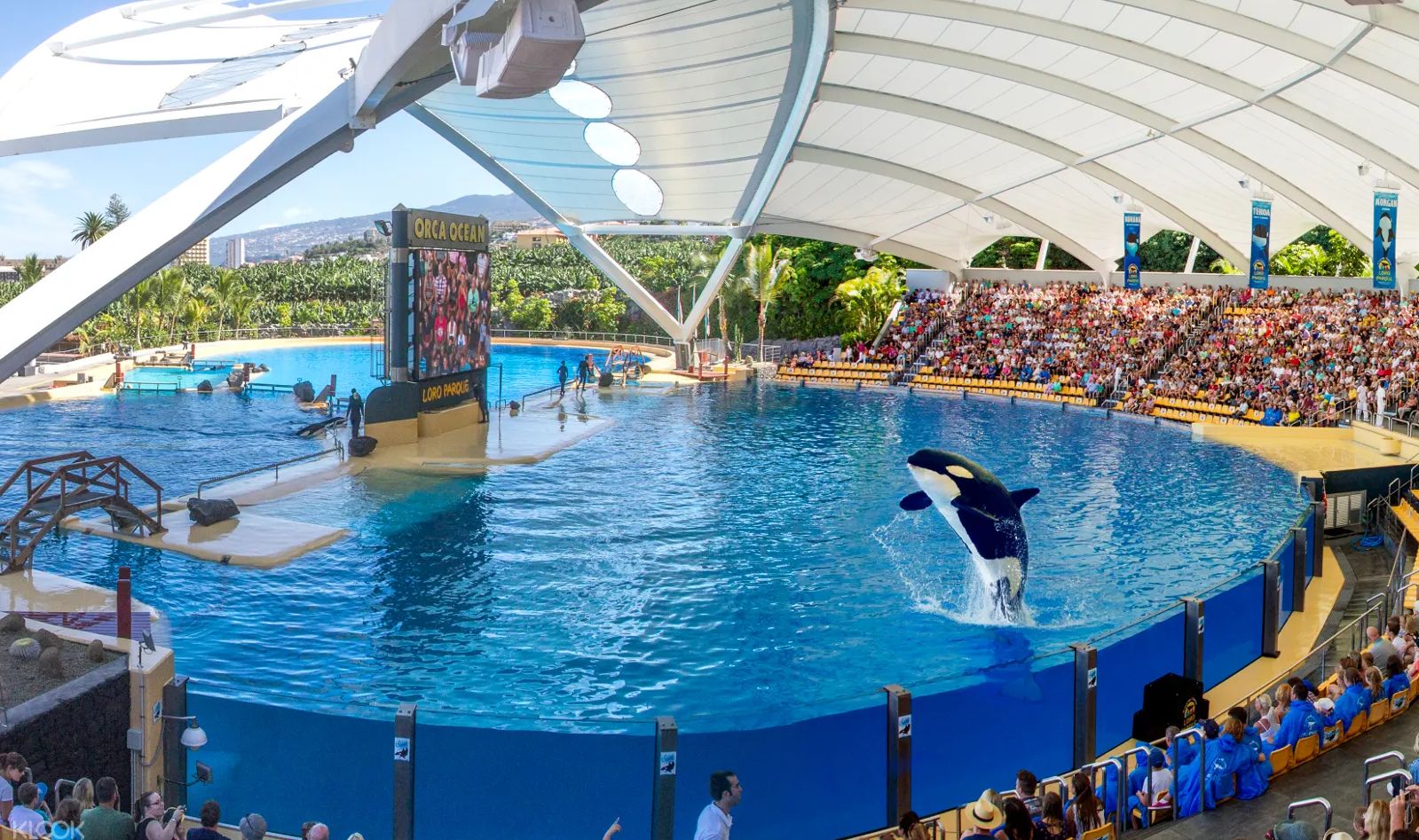 Les Parcs aquatiques et parcs d'attractions à Ténérife Que faire à