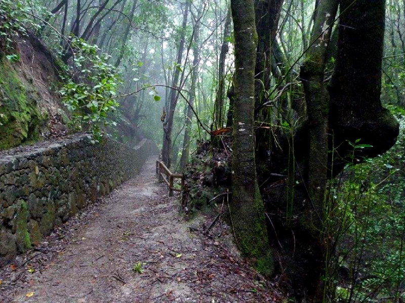 paisaje protegido de las lagunetas